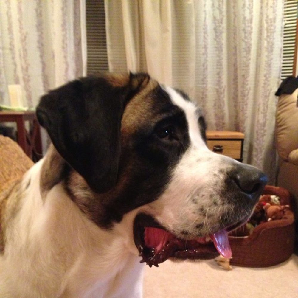 Meet your Posher, Mable